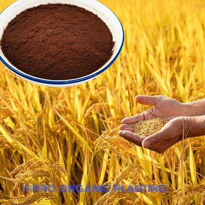 20% Free Amino Acids Biostimulant And Fertilizer Solid For Plants
