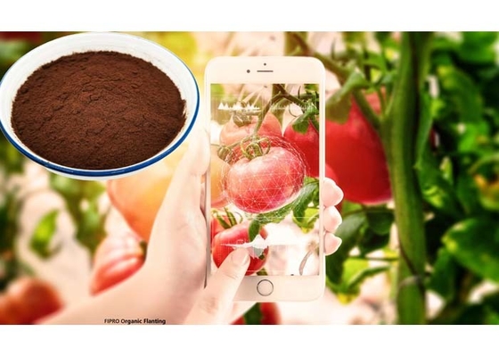 20% Mino Acids L-Alpha Biostimulant Organic Fertilizer Powder ISO 9001
