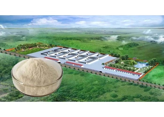 GMP+ CE Swine Feed Additives Healthy Chicken Blood Plasma Protein Powder