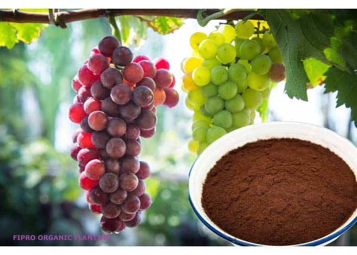 Foliar Spray Fipro 85/16 Biostimulant Powder Fertilizer For Plants