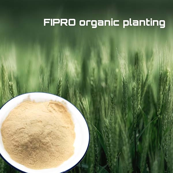 Fish Protein Hydrolysate Powder  Fertilizer