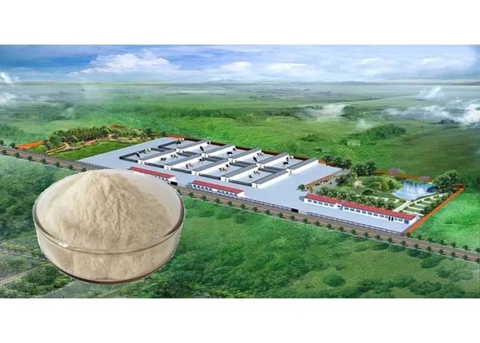 GMP+ CE Swine Feed Additives Healthy Chicken Blood Plasma Protein Powder