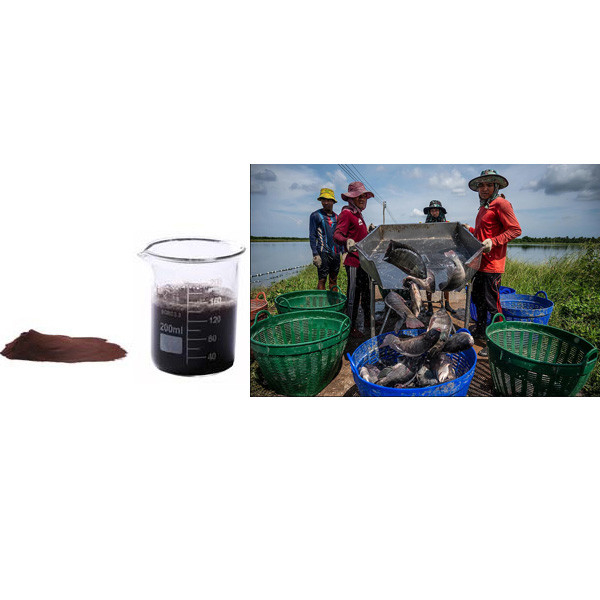 Oreochromis Niloticus Spray Dried Hemoglobin Powder Dietary Animal Protein
